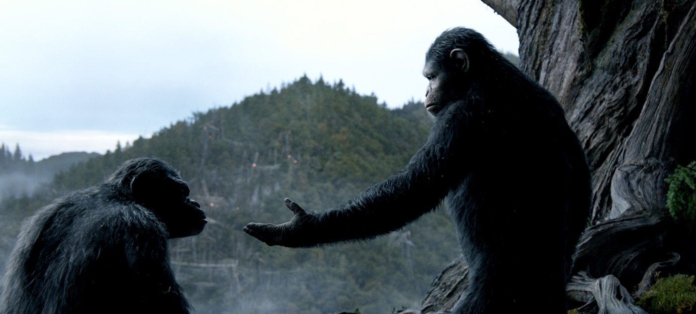 Dawn of the Planet of the Apes